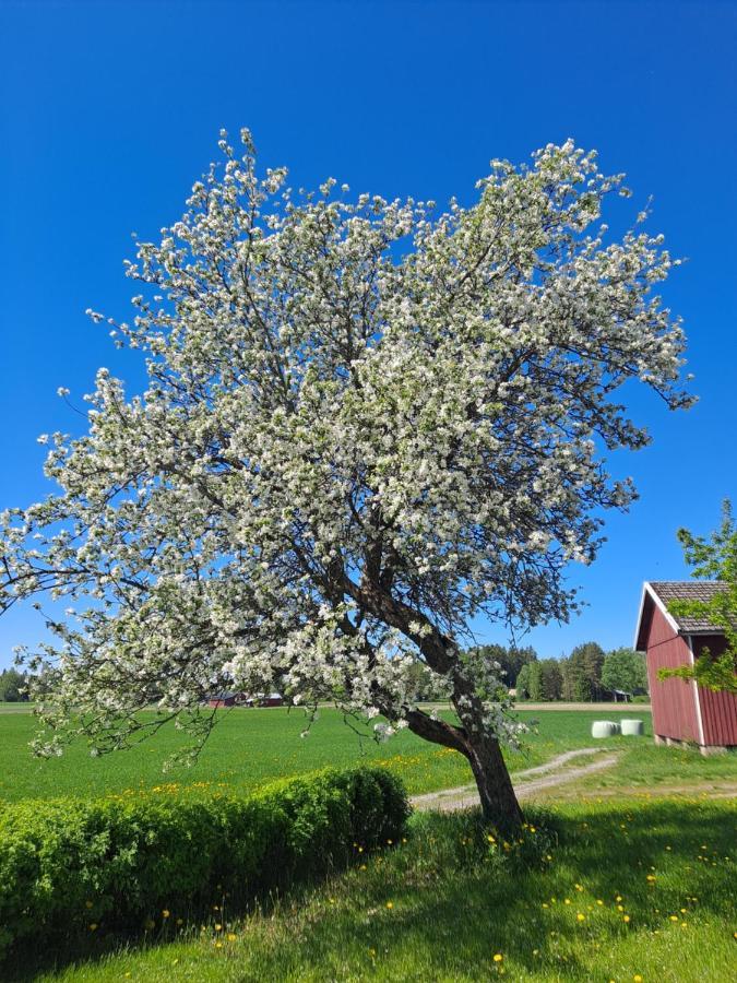 Levomaeki Farm Cottages Ypaja Exterior foto